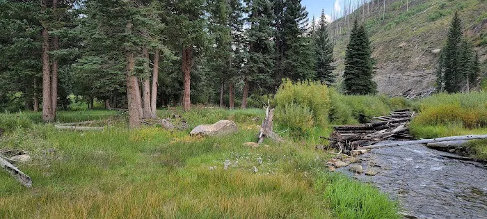 Chute Group Campground Picture 3