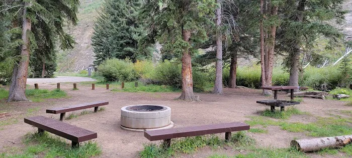 Chute Group Campground Picture 5