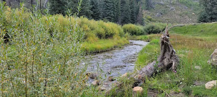 Chute Group Campground Picture 7