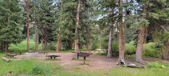 Chute Group Campground Picture 8