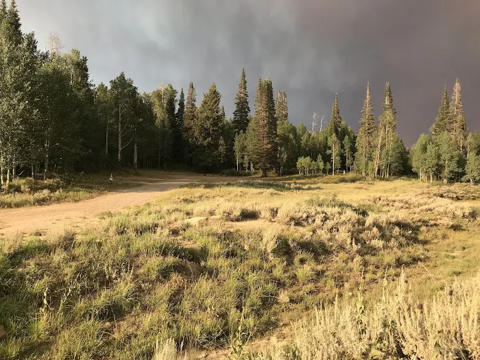 Miller Flat Reservoir Campground Picture 3