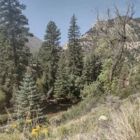 Little Rock Campground ico