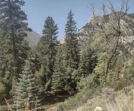 Little Rock Campground