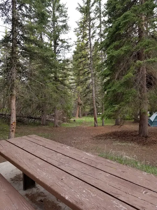 Old Folks Flat Group Campground Picture 7