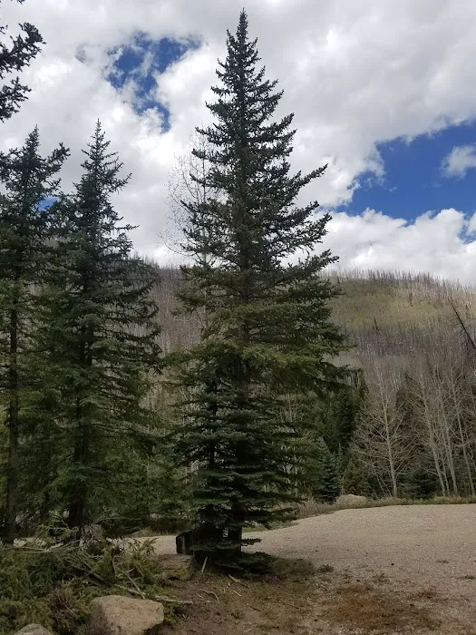 Old Folks Flat Group Campground Picture 4