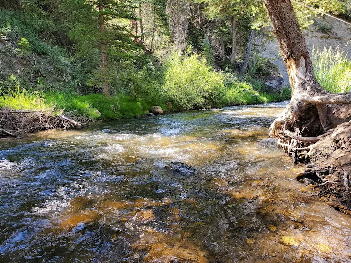 Big Rock Group Campground Picture 1