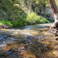 Big Rock Group Campground ico