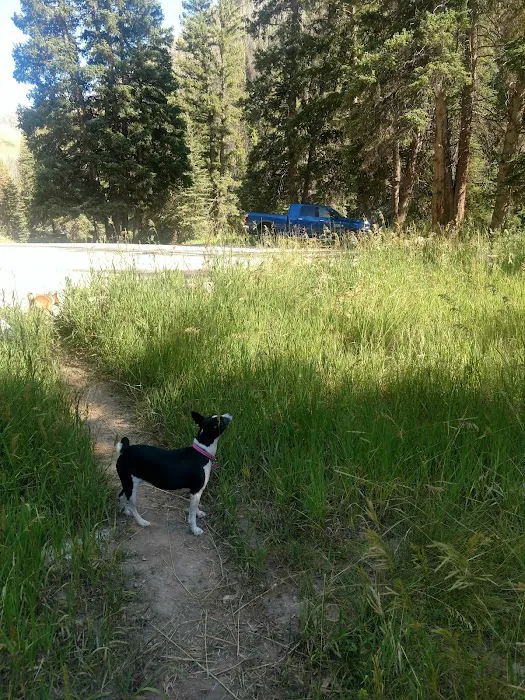Forks of Huntington Campground Picture 3