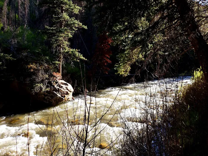 Forks of Huntington Campground Picture 9