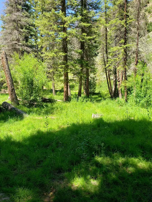 Forks of Huntington Campground Picture 7