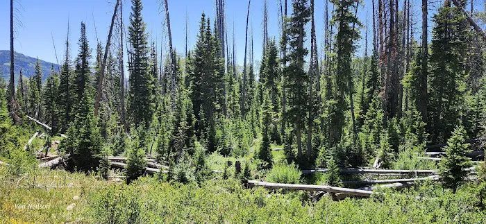 Potters Pond Camp Ground Picture 8