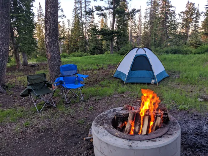 Avintaquin Campground Picture 2