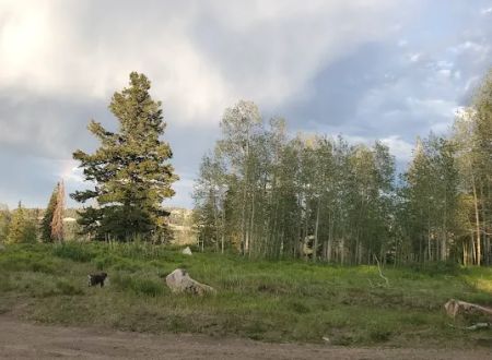 Avintaquin Campground
