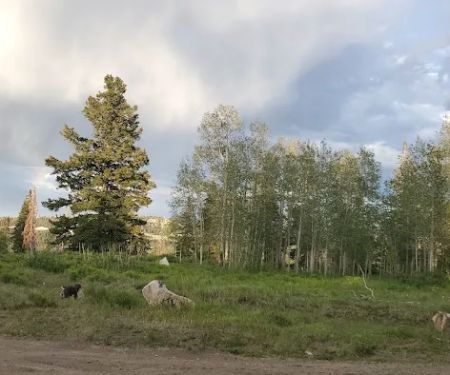 Avintaquin Campground