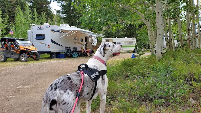 Avintaquin Campground Picture 7