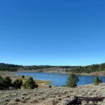 Browne Lake Campground