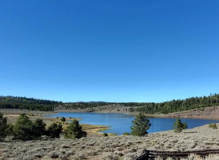 Browne Lake Campground