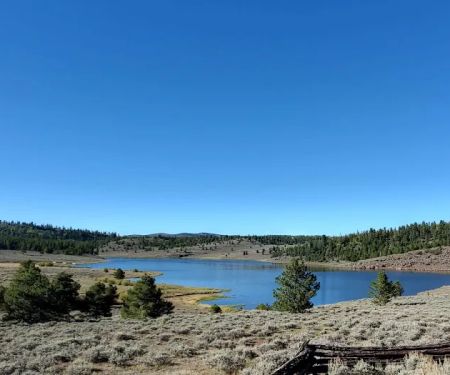 Browne Lake Campground