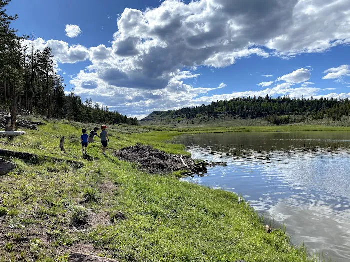 Browne Lake Group Sites Picture 4