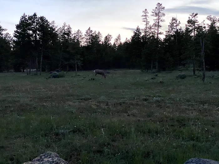 Browne Lake Group Sites Picture 6