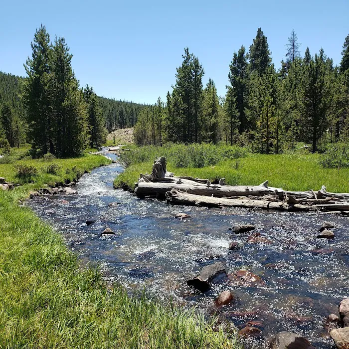 North Fork Camping Area Picture 3