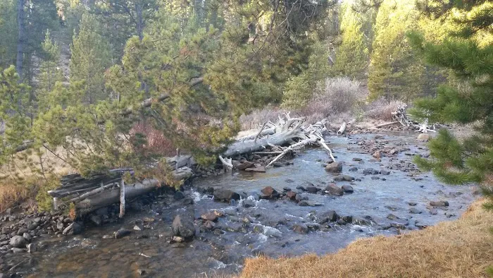 North Fork Camping Area Picture 5