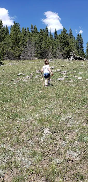 North Fork Camping Area Picture 4