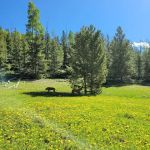 Kaler Hollow Campground