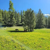 Kaler Hollow Campground ico