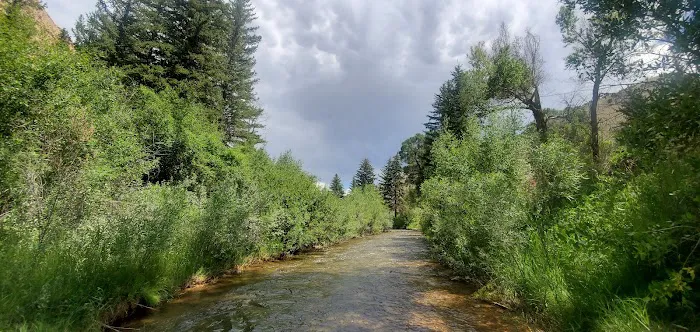 Carmel Campground Picture 4