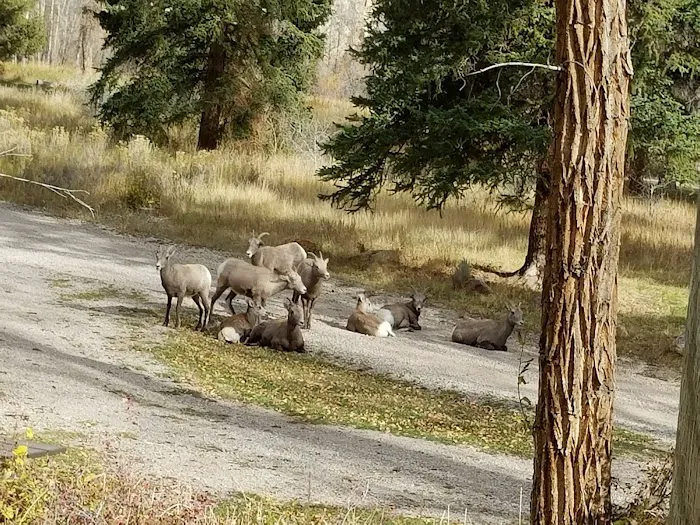 Carmel Campground Picture 6