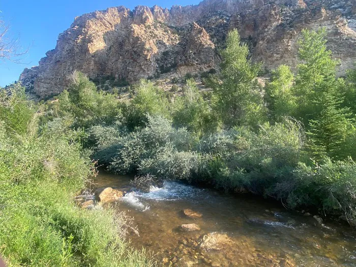 Willows Campground Picture 3