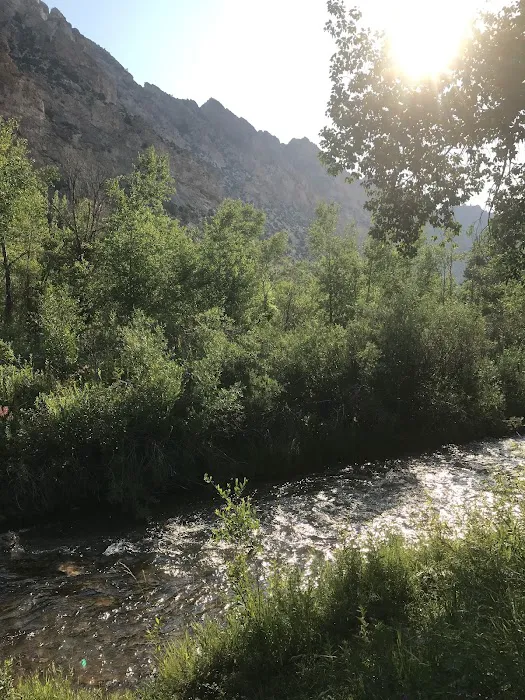 Willows Campground Picture 7