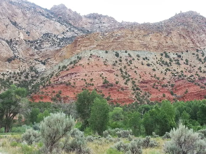Manns Campground Picture 4