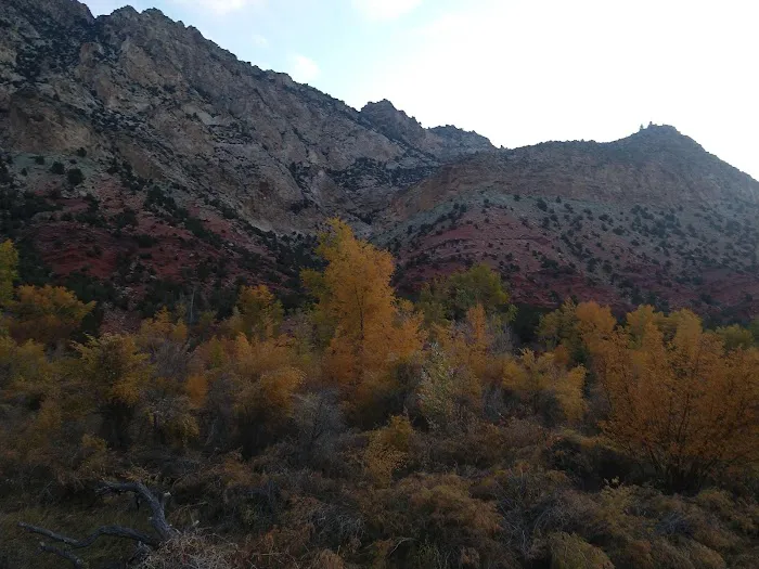 Manns Campground Picture 6