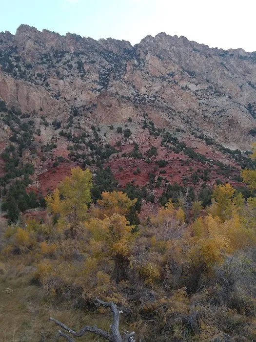 Manns Campground Picture 5