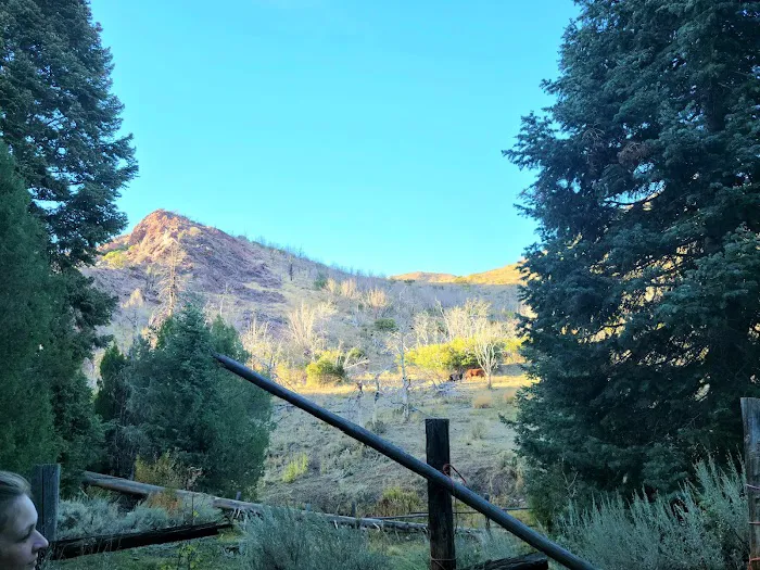 Little Creek Campground Picture 2