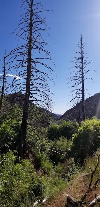Little Creek Campground Picture 1