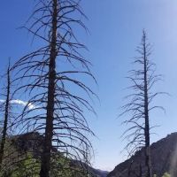 Little Creek Campground ico