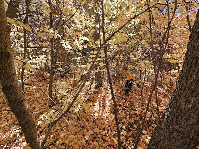 Oak Creek Campground Picture 4