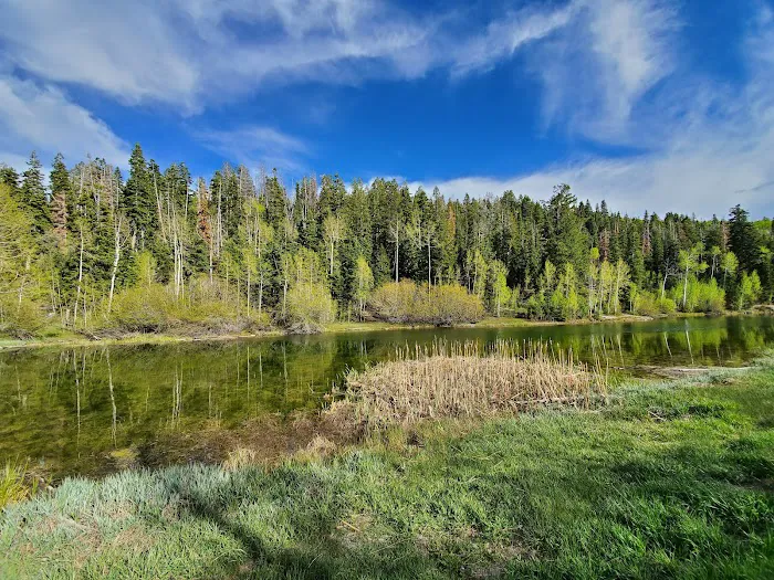 Lake Hill Campground Picture 3