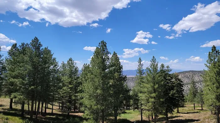 Lake Hill Campground Picture 9