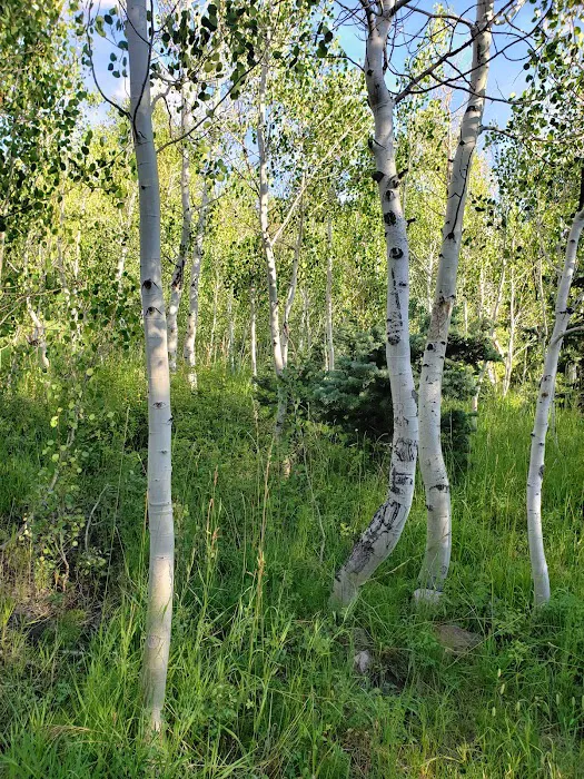 Lake Hill Campground Picture 6