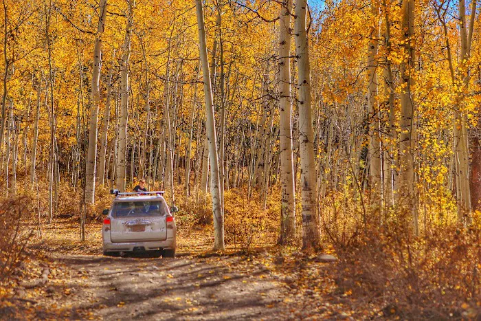 Upper Six Mile Ponds Campground Picture 5