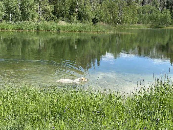 Upper Six Mile Ponds Campground Picture 4