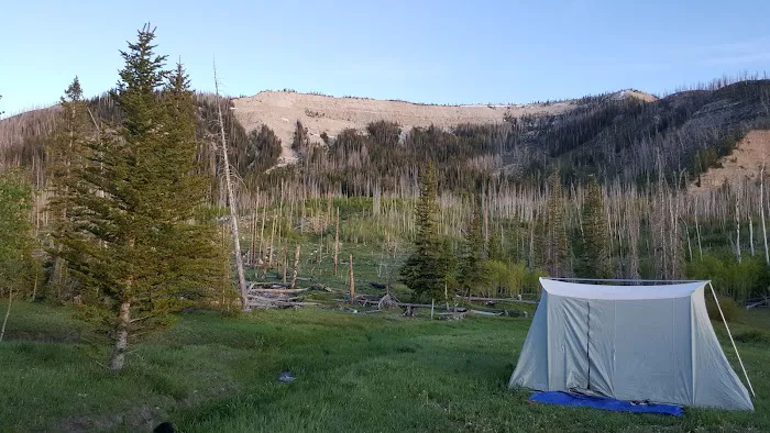 Upper Six Mile Ponds Campground Picture 2