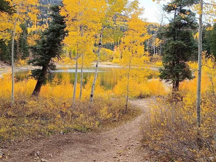 New Canyon Reservoir Picture 2