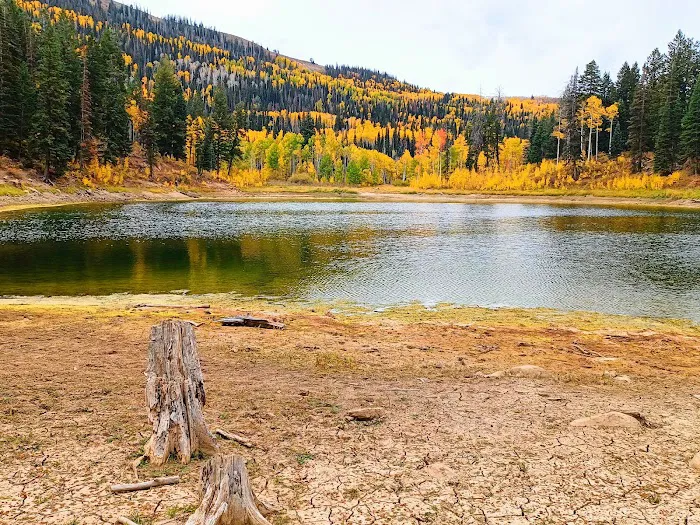 New Canyon Reservoir Picture 1