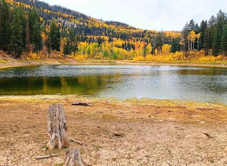 New Canyon Reservoir