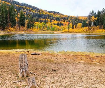 New Canyon Reservoir